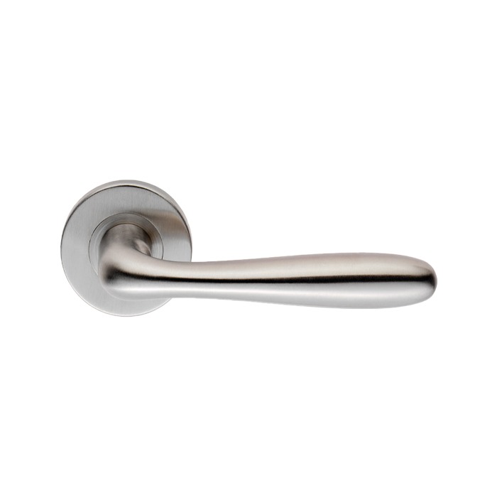 Lever Door Handle on Sprung Rose